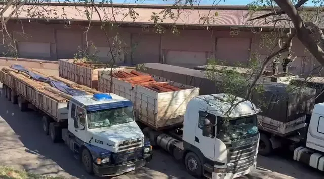 Operação internacional apreende carga de madeira com cocaína líquida 